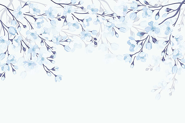 Wall murals White and blue flowers on a white background Wall murals White and blue flowers on a white background