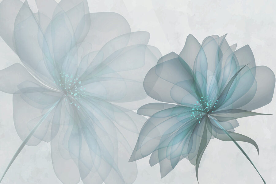 Ein Paar transparente Blumen Ein Paar transparente Blumen