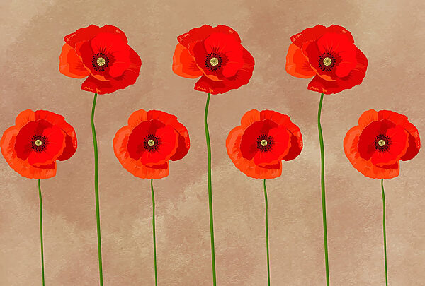 Gruppe von roten Blumen Gruppe von roten Blumen