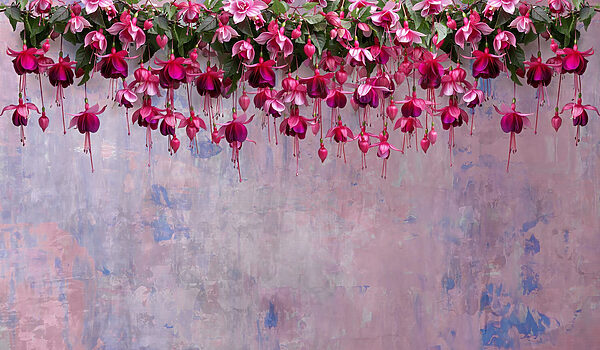 Gruppe von rosa Blumen Gruppe von rosa Blumen