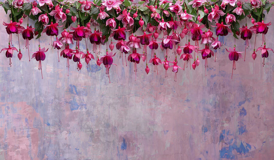 Gruppe von rosa Blumen
