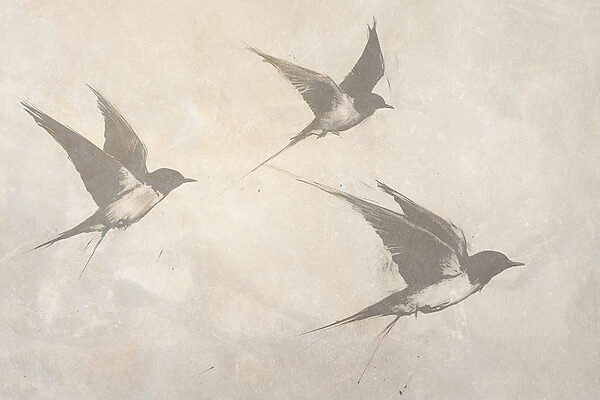 Gruppe von fliegenden Vögeln Gruppe von fliegenden Vögeln