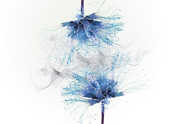 Blaue Blumen mit weißer Tinte in der Luft Blaue Blumen mit weißer Tinte in der Luft