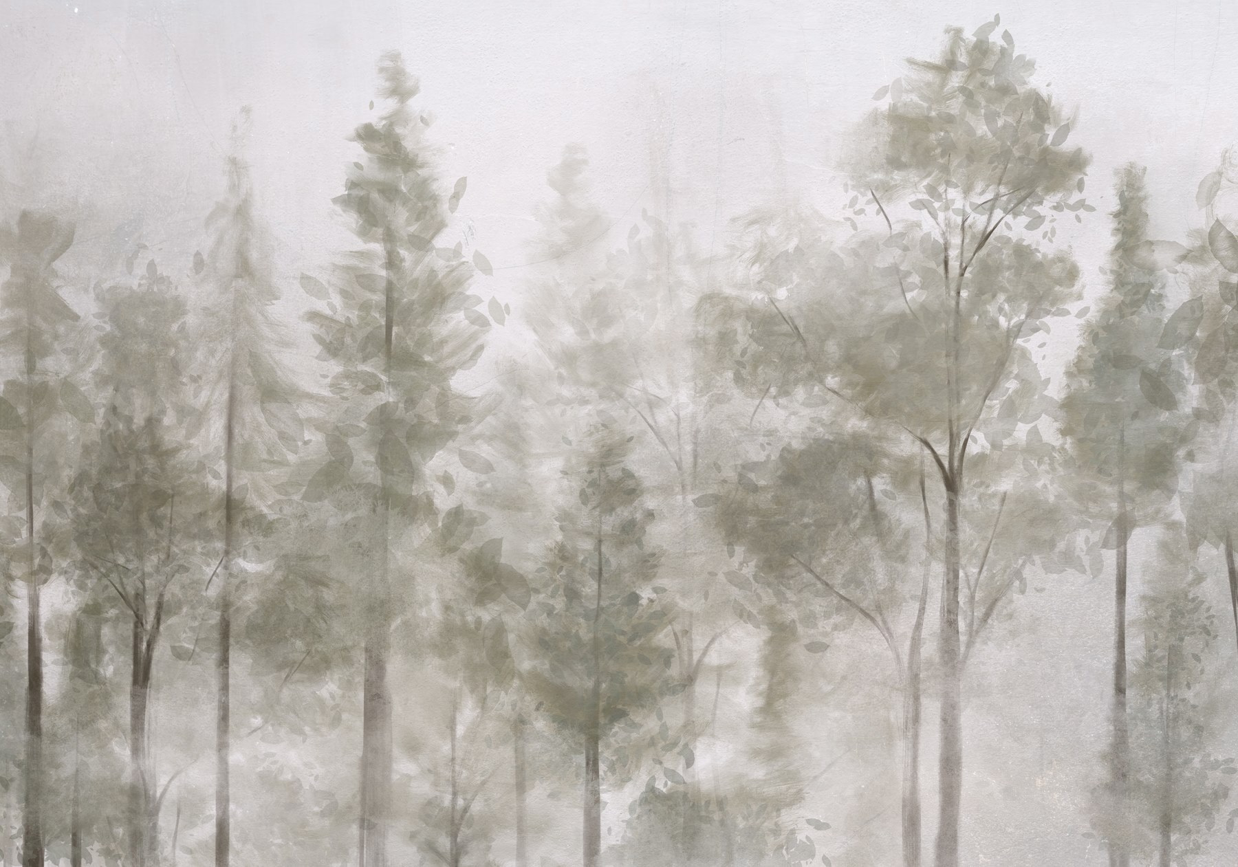 Group of trees in fog
