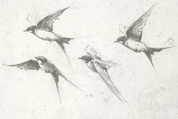 Gruppe von fliegenden Vögeln Gruppe von fliegenden Vögeln