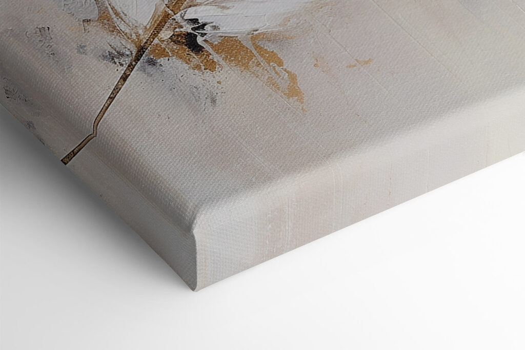 Delicate feather on a soft background