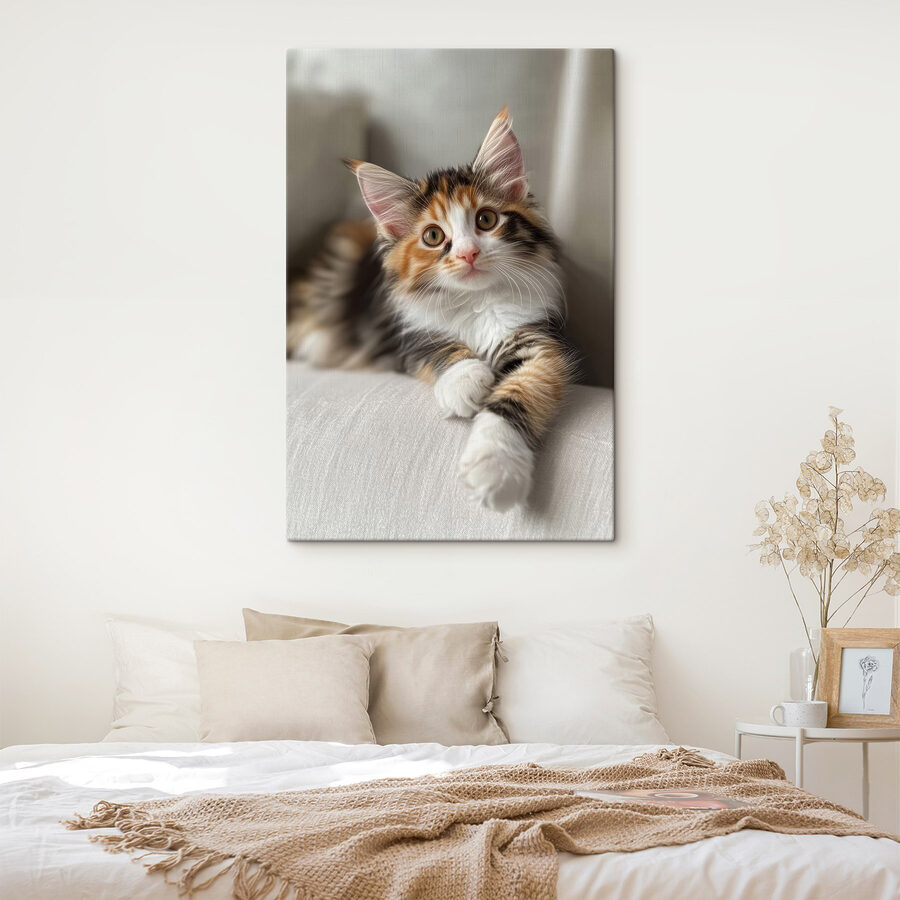 Katze auf einer Couch liegend