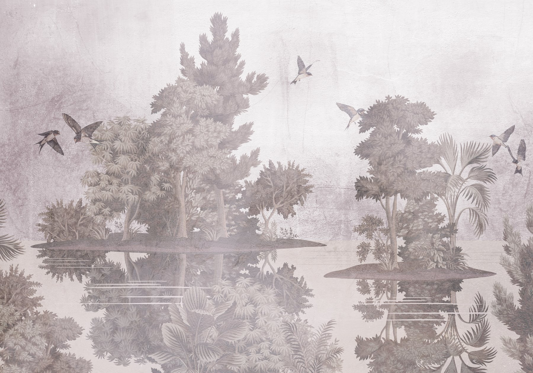 Birds flying over trees Birds flying over trees