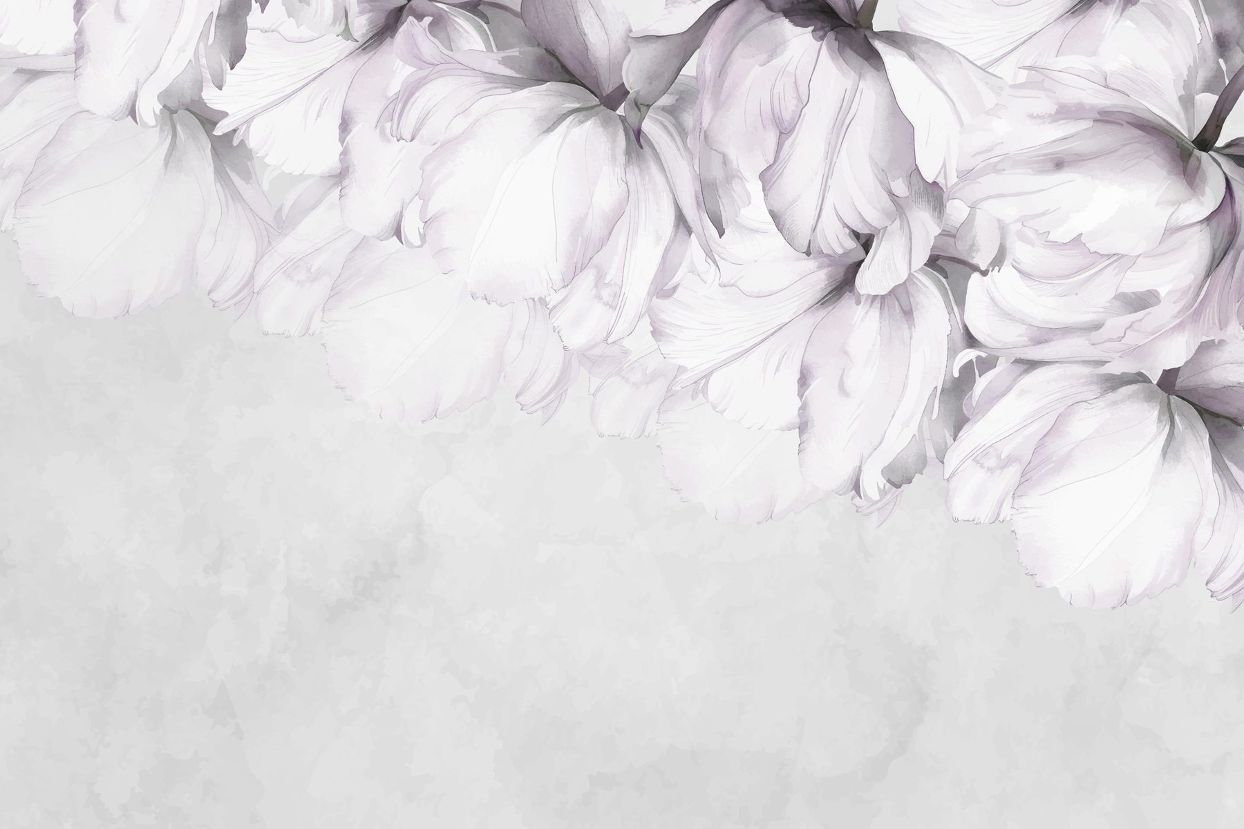 Soft petals against a muted background