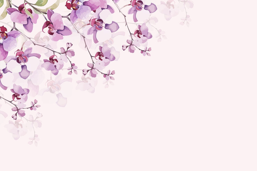 Zarte Orchideen in sanften Pastelltönen