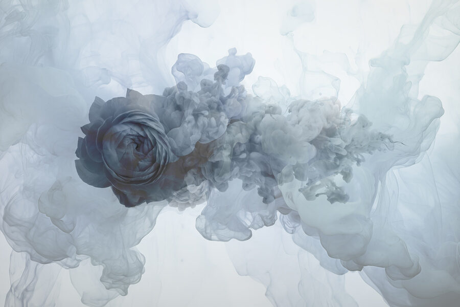 Blume im Wasser