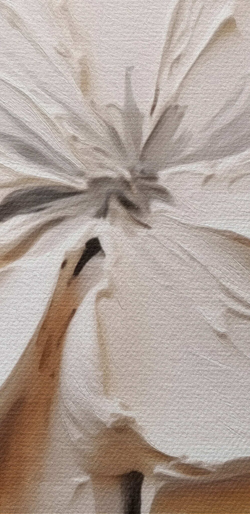 White flower carved into a white surface