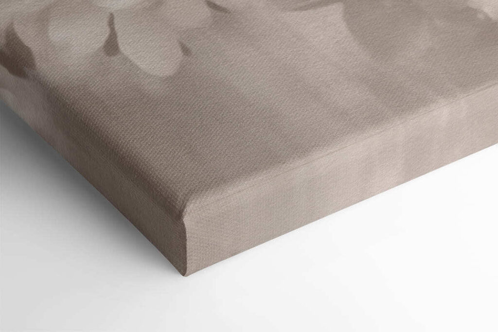 Group of white flowers