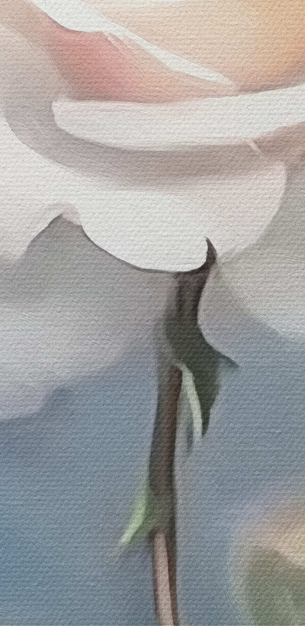 Weiße Rose mit grünen Blättern Weiße Rose mit grünen Blättern