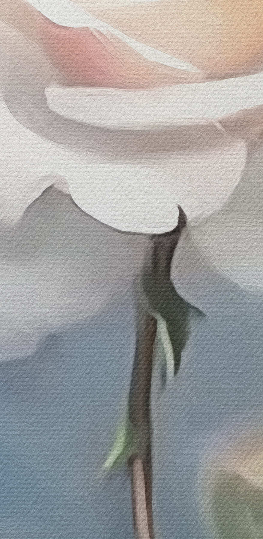 Weiße Rose mit grünen Blättern