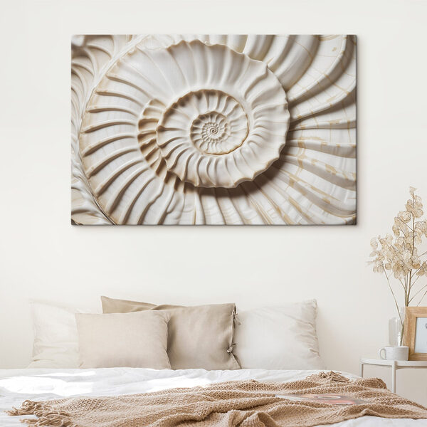 Elegantes, spiralförmiges Muschelmuster, wunderschön dargestellt. Elegantes, spiralförmiges Muschelmuster, wunderschön dargestellt.