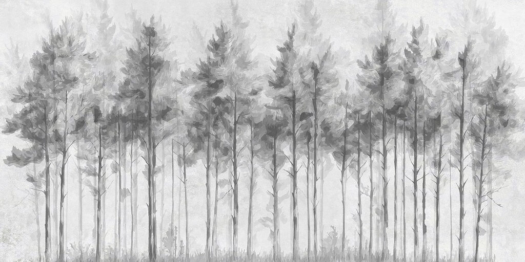 Gruppe von Bäumen in einem Wald Gruppe von Bäumen in einem Wald