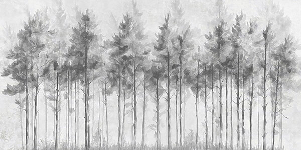 Gruppe von Bäumen in einem Wald Gruppe von Bäumen in einem Wald