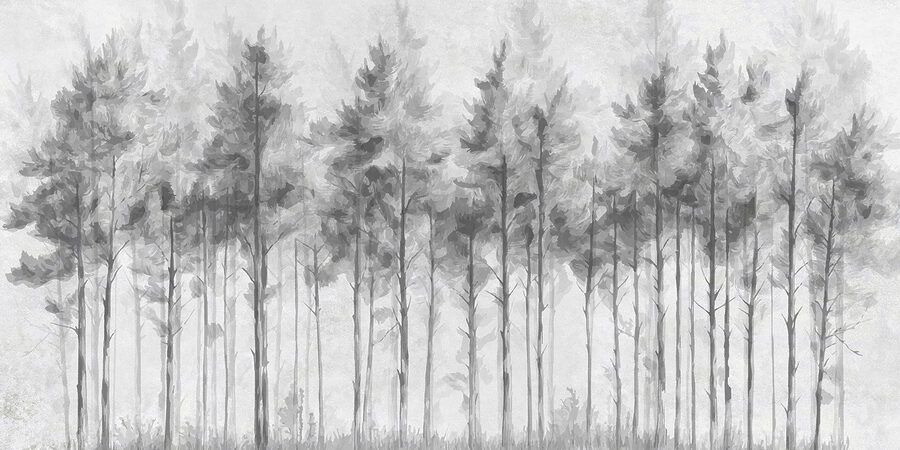 Gruppe von Bäumen in einem Wald