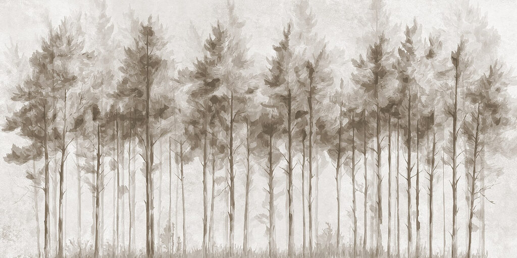 Gruppe von Bäumen in einem Wald Gruppe von Bäumen in einem Wald