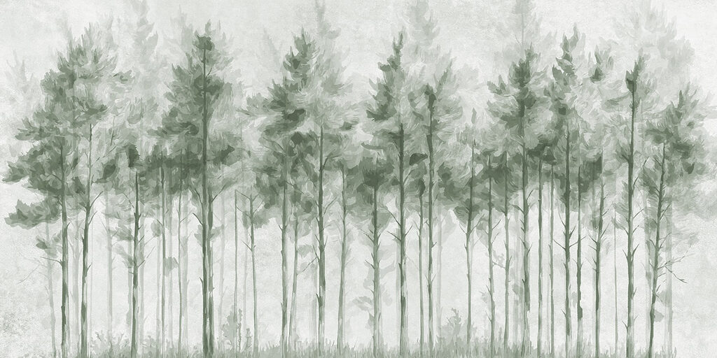 Gruppe von Bäumen in einem Wald Gruppe von Bäumen in einem Wald