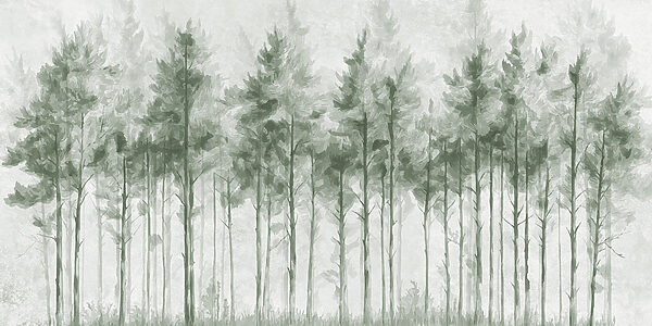 Gruppe von Bäumen in einem Wald Gruppe von Bäumen in einem Wald
