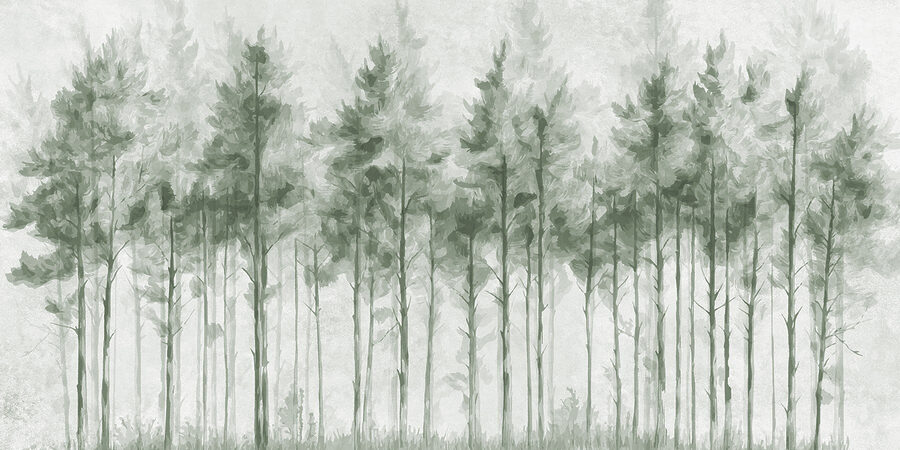 Gruppe von Bäumen in einem Wald