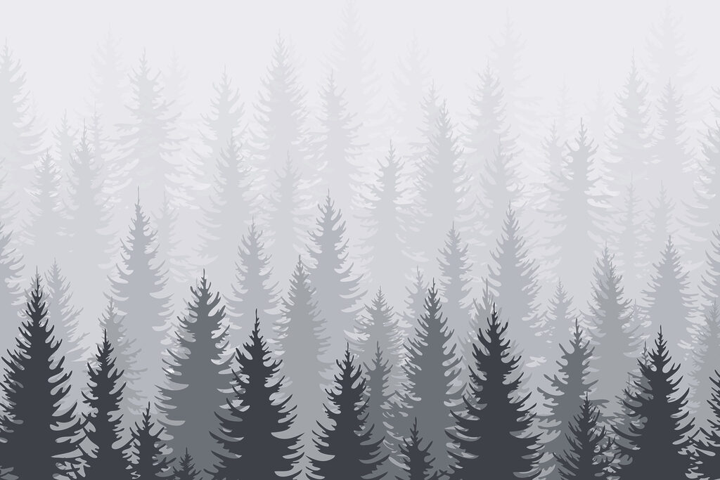 Gruppe von Bäumen in einem Wald Gruppe von Bäumen in einem Wald