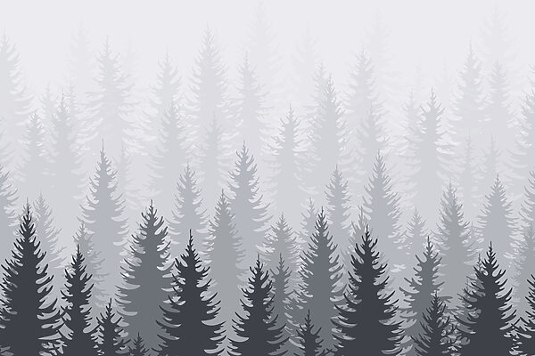 Gruppe von Bäumen in einem Wald Gruppe von Bäumen in einem Wald
