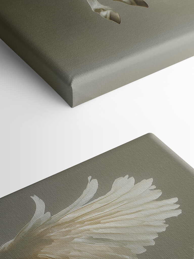 White horse with wings