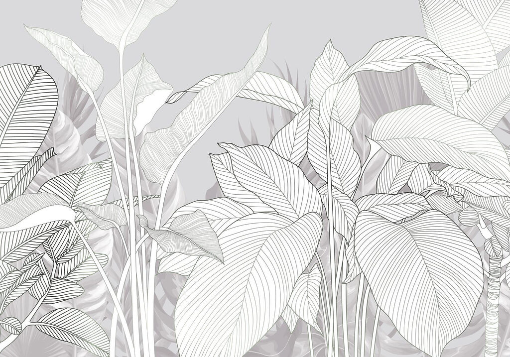 Elegante Linien der Natur’s Schönheit Elegante Linien der Natur’s Schönheit