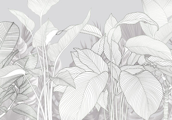 Elegante Linien der Natur’s Schönheit Elegante Linien der Natur’s Schönheit