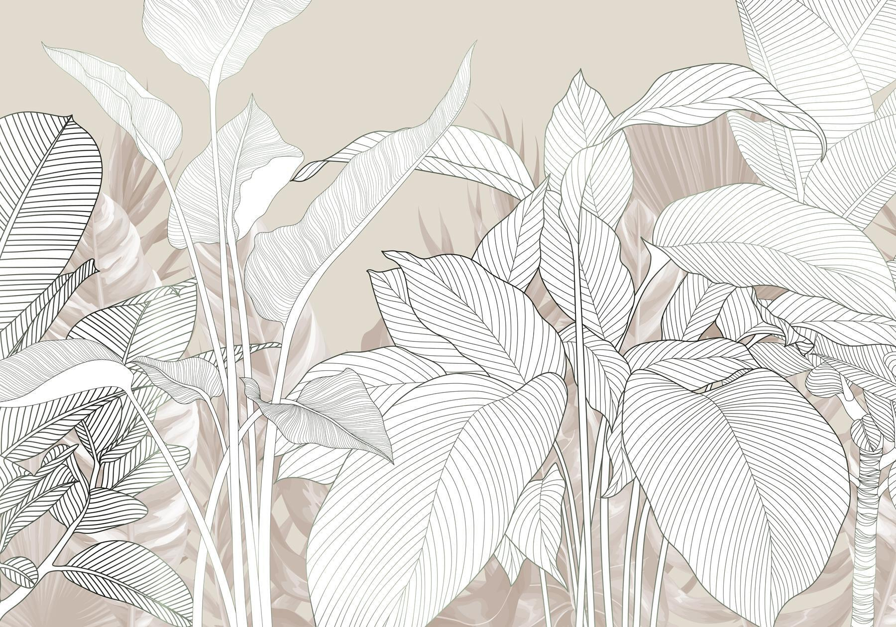 Delicate lines and soft textures