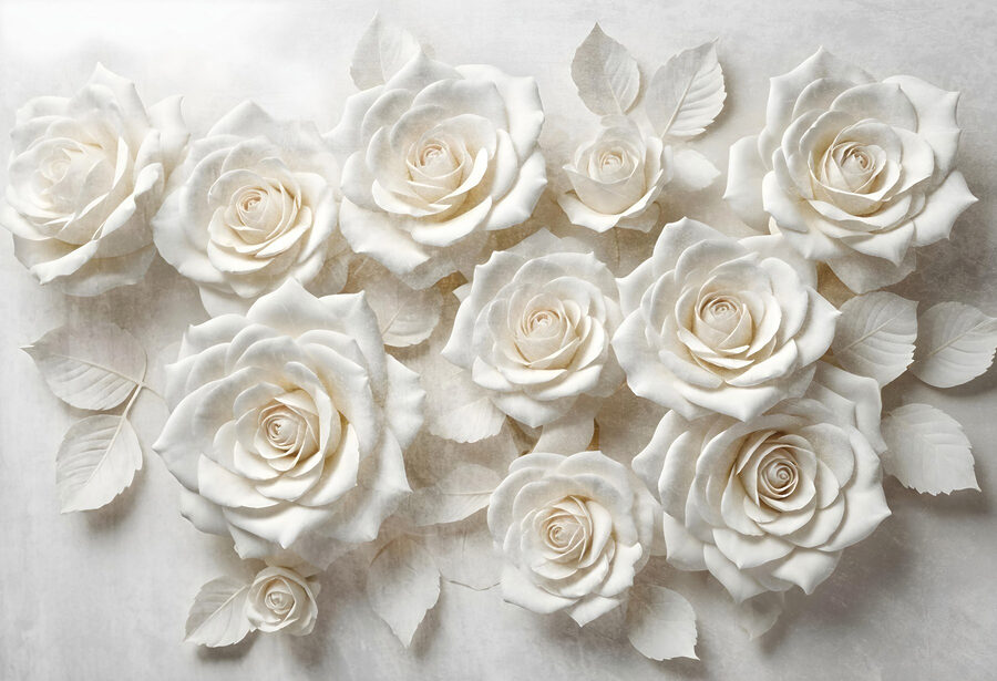 Gruppe von weißen Rosen Gruppe von weißen Rosen