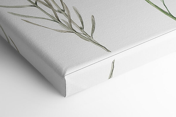 Group of flowers on a white background