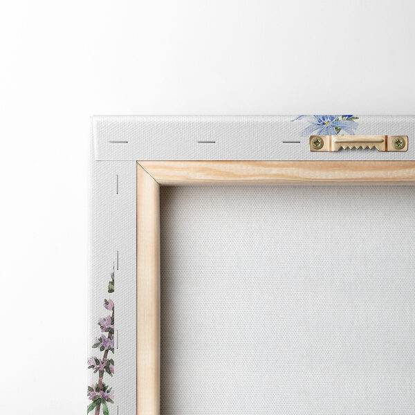 Group of flowers on a white background