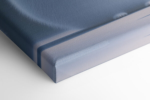 Cartoon of a cat looking at a little girl