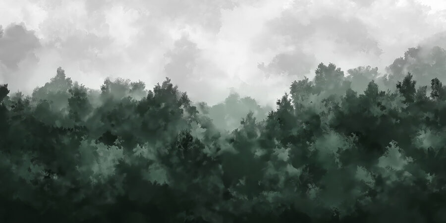 Nebliger Wald mit Bäumen