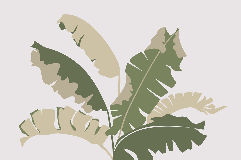 Plant with leaves on it