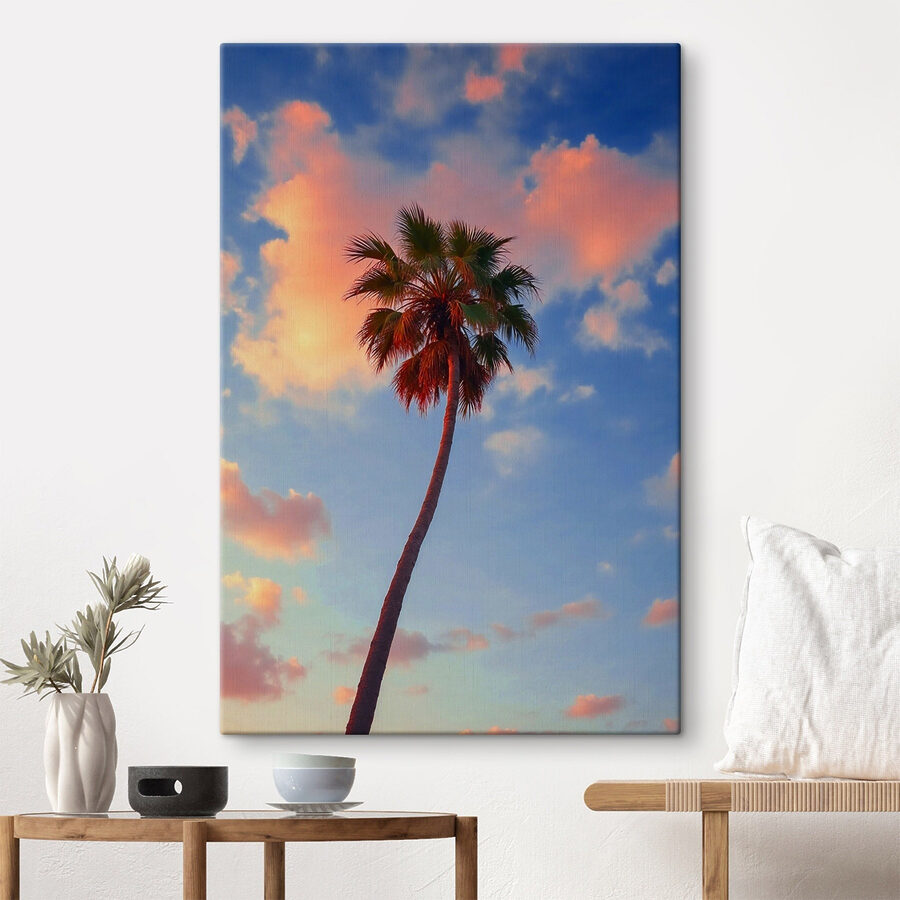 Palme mit blauem Himmel und Wolken Palme mit blauem Himmel und Wolken