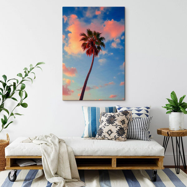 Palme mit blauem Himmel und Wolken Palme mit blauem Himmel und Wolken