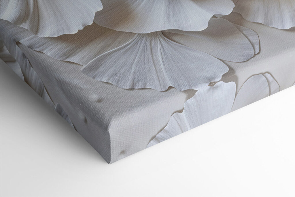 Group of white leaves Group of white leaves