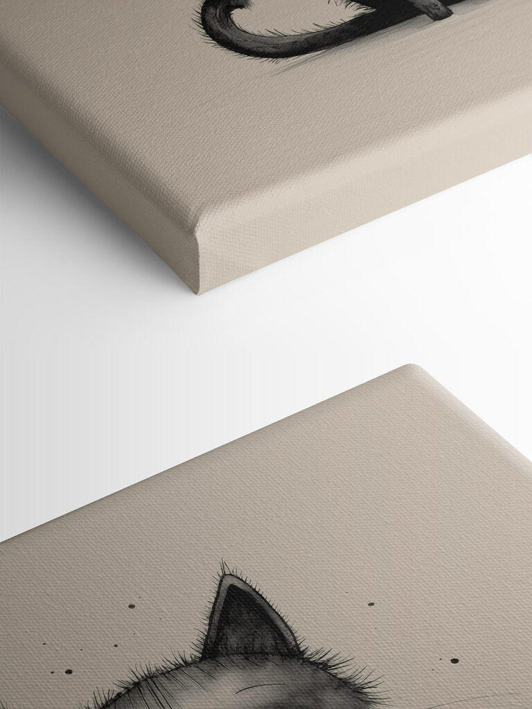 Black cat with big eyes