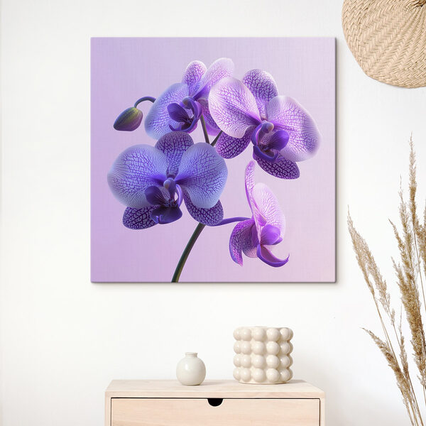 Wandbilder Lila und weiße Orchideenblüte (Artikelnummer: s41978) Wandbilder Wandbilder Lila und weiße Orchideenblüte (Artikelnummer: s41978)
