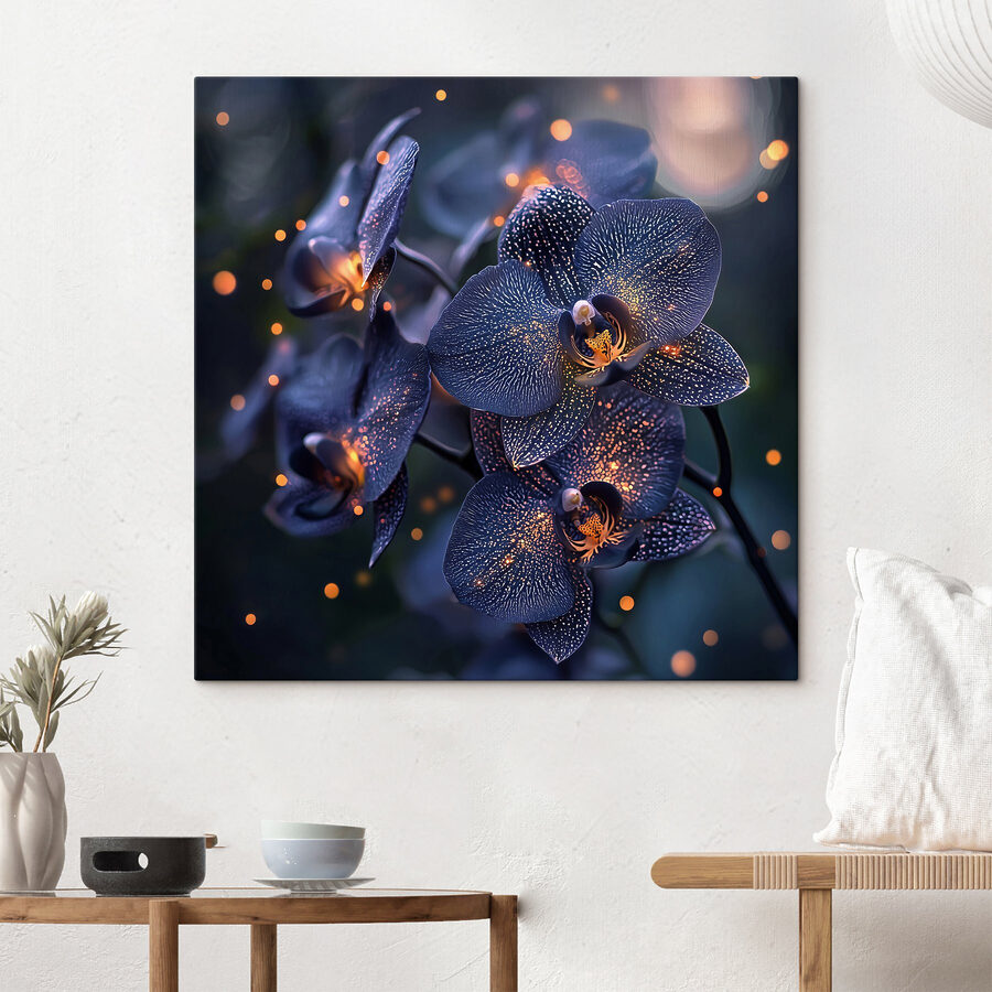 Elegante Orchideen in sanftem Ambiente