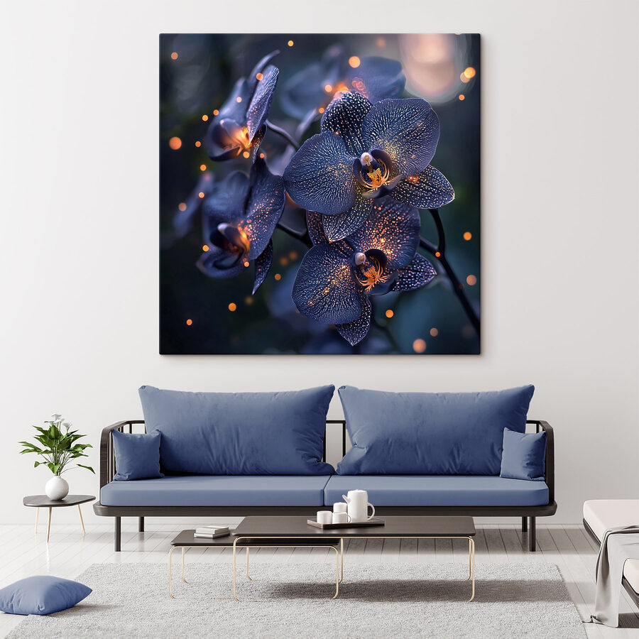 Elegante Orchideen in sanftem Ambiente
