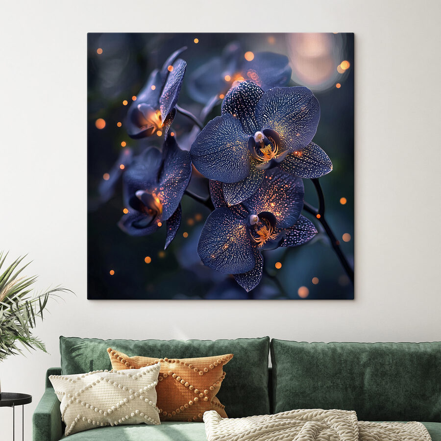 Elegante Orchideen in sanftem Ambiente