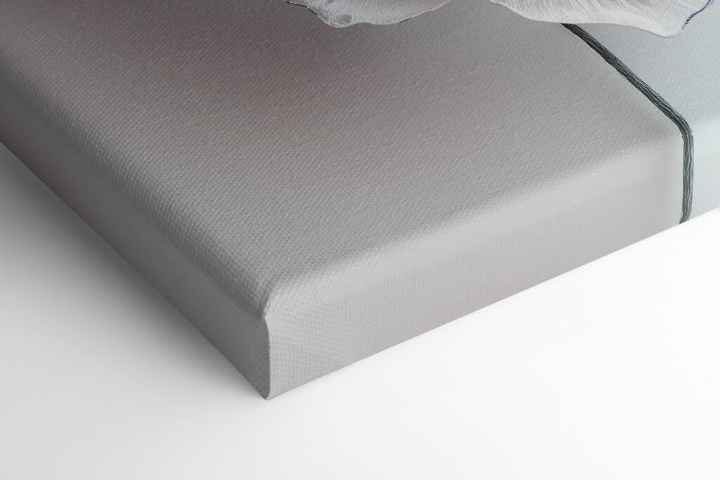 Delicate blooms in soft hues