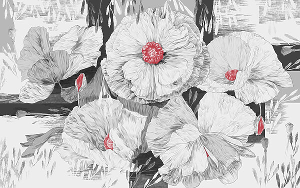 Gruppe weißer Blüten mit roter Mitte Gruppe weißer Blüten mit roter Mitte
