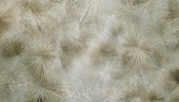 Wall murals Nature's patterns in soft colors Wall murals Nature's patterns in soft colors